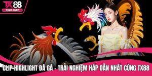 Clip Highlight Đá Gà