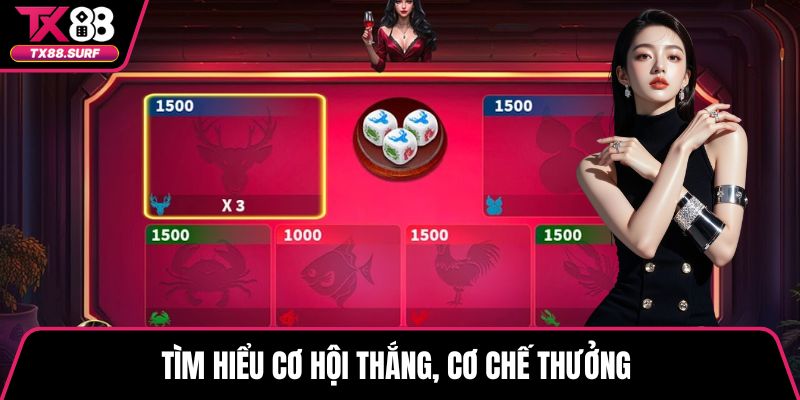 Tìm hiểu cơ hội thắng, cơ chế thưởng 