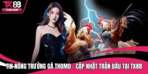 Tin Nóng Trường Gà Thomo